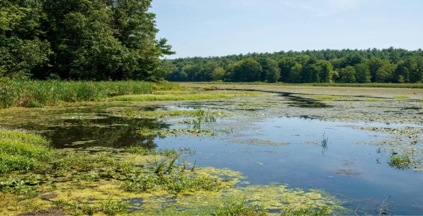 Offsite Biodiversity Units